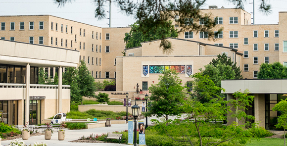 College of Saint Mary Network