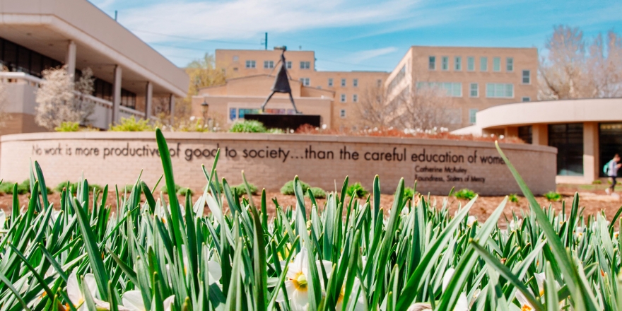 College of Saint Mary Network